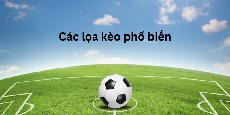 Hướng Dẫn Cách Soi Kèo Nhà Cái 123B: Bí Quyết Từ Chuyên Gia 3 Tìm hiểu về các loại kèo thường gặp
