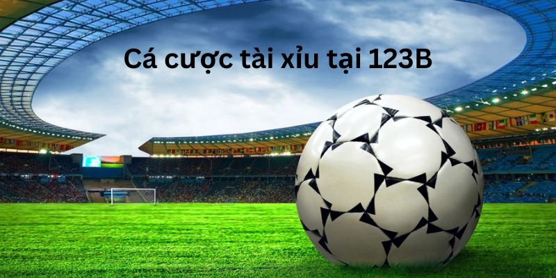Cách Soi Kèo Tài Xỉu: Nắm Bắt Thông Tin Để Dễ Dàng Thắng Lớn 5 Soi kèo tài xỉu cùng nhà cái 123B