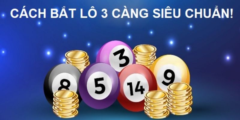 Lô 3 Càng Ăn Bao Nhiêu - 123B Giải Đáp Mọi Thắc Mắc Của Bạn 4 Bỏ túi ngay các chiến thuật hiệu quả để bắt chuẩn xác